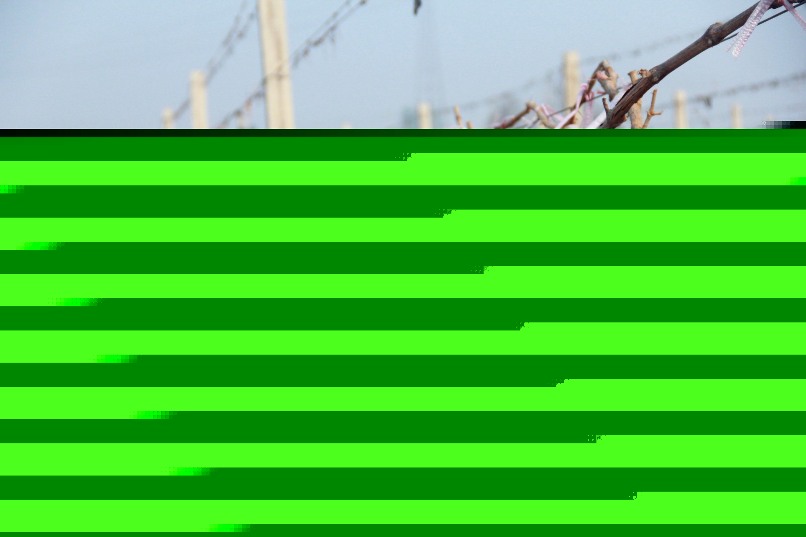 15543397889139.jpg