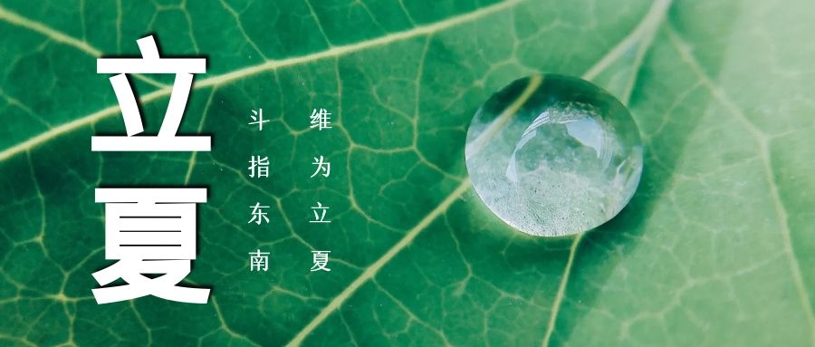 立夏 ▏綠蔭濃，夏日長