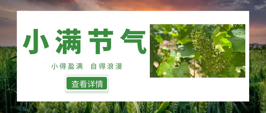 小滿 ▎小得盈滿，自得浪漫~