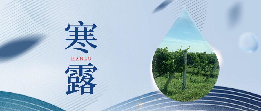 寒露丨夜露凝寒，萬物皆秋