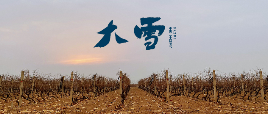 大雪 ▎世界留白，天地靜美