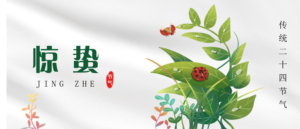 驚蟄 ▎雷鳴春醒，萬物生長